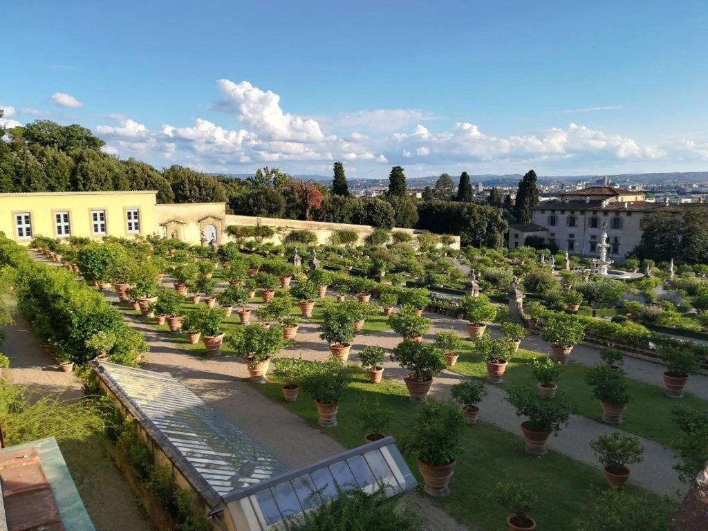 Apartment, Garden And Parking Apartamento *